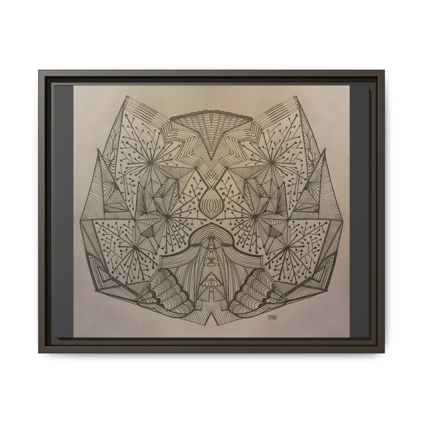 Matte Canvas, Framed (Multi-color)