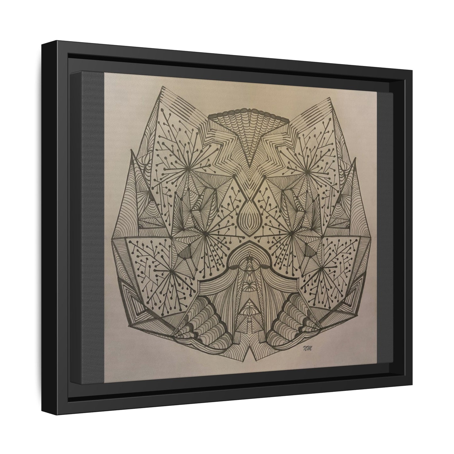 Matte Canvas, Framed (Multi-color)