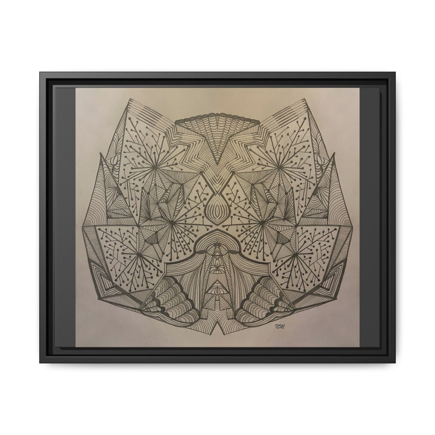 Matte Canvas, Framed (Multi-color)