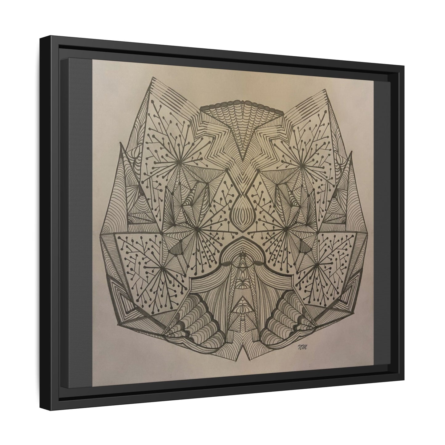 Matte Canvas, Framed (Multi-color)