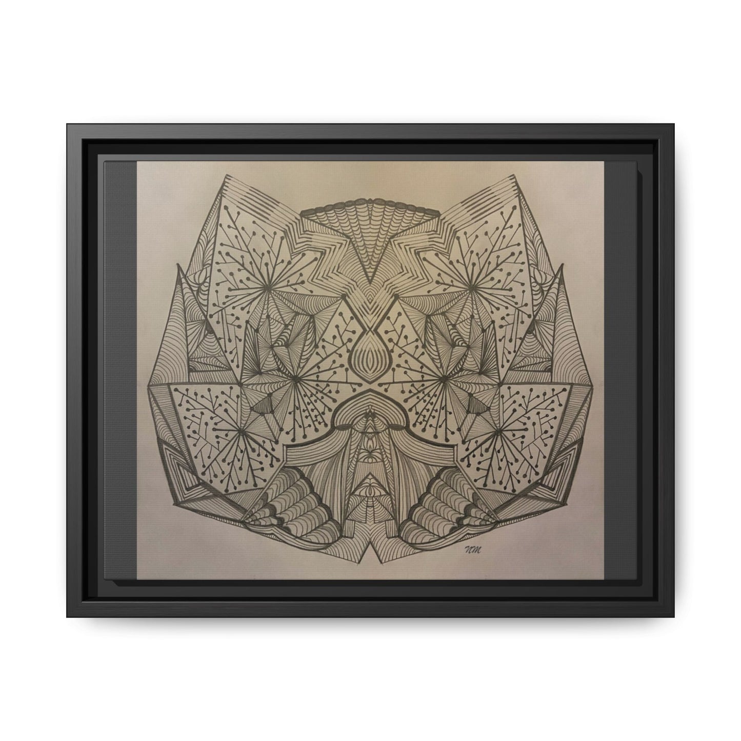Matte Canvas, Framed (Multi-color)