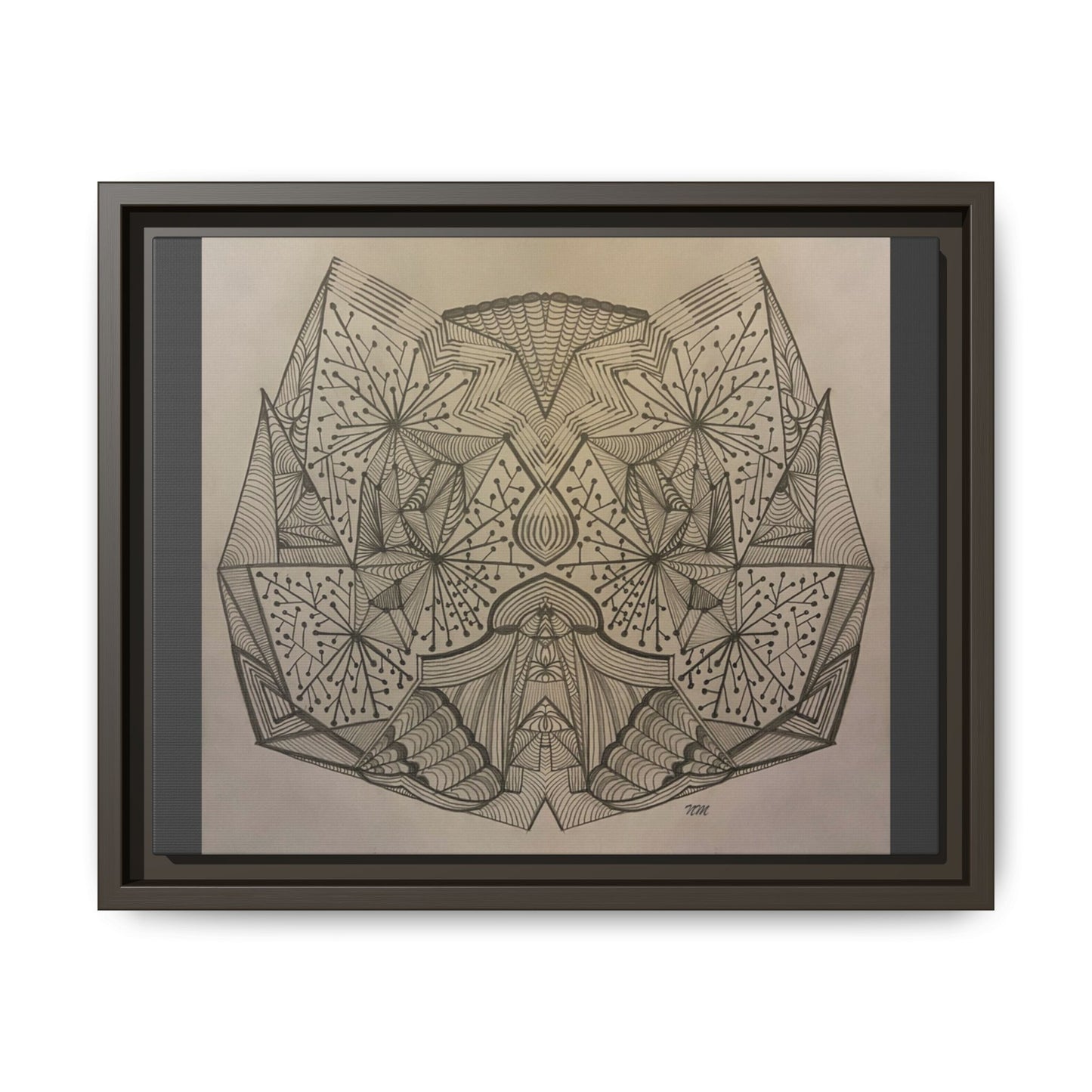 Matte Canvas, Framed (Multi-color)
