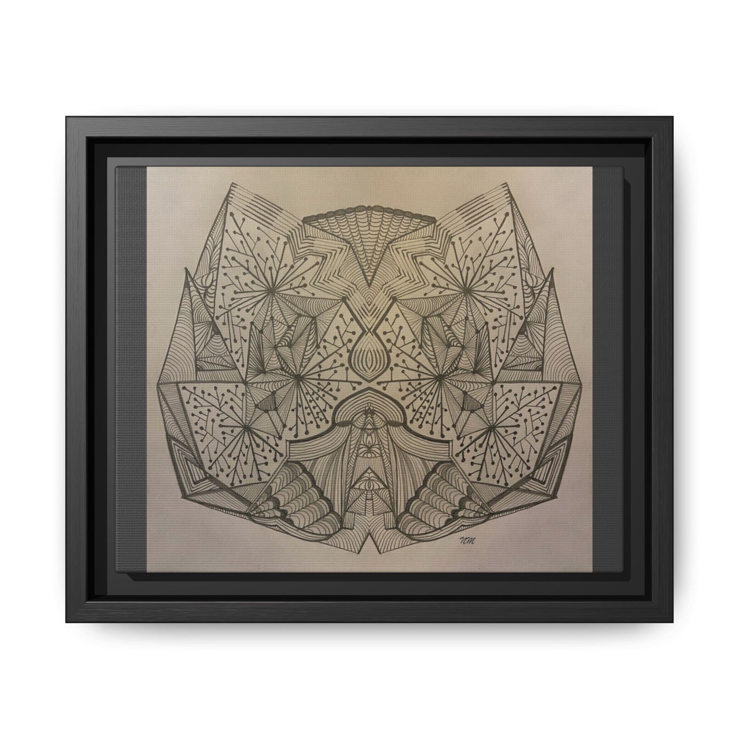 Matte Canvas, Framed (Multi-color)
